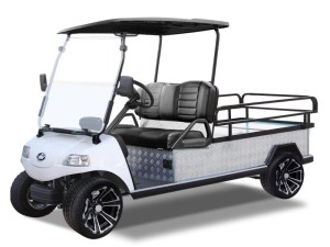 Evolution Turfman 1000 Golf Cart Tidewater Carts